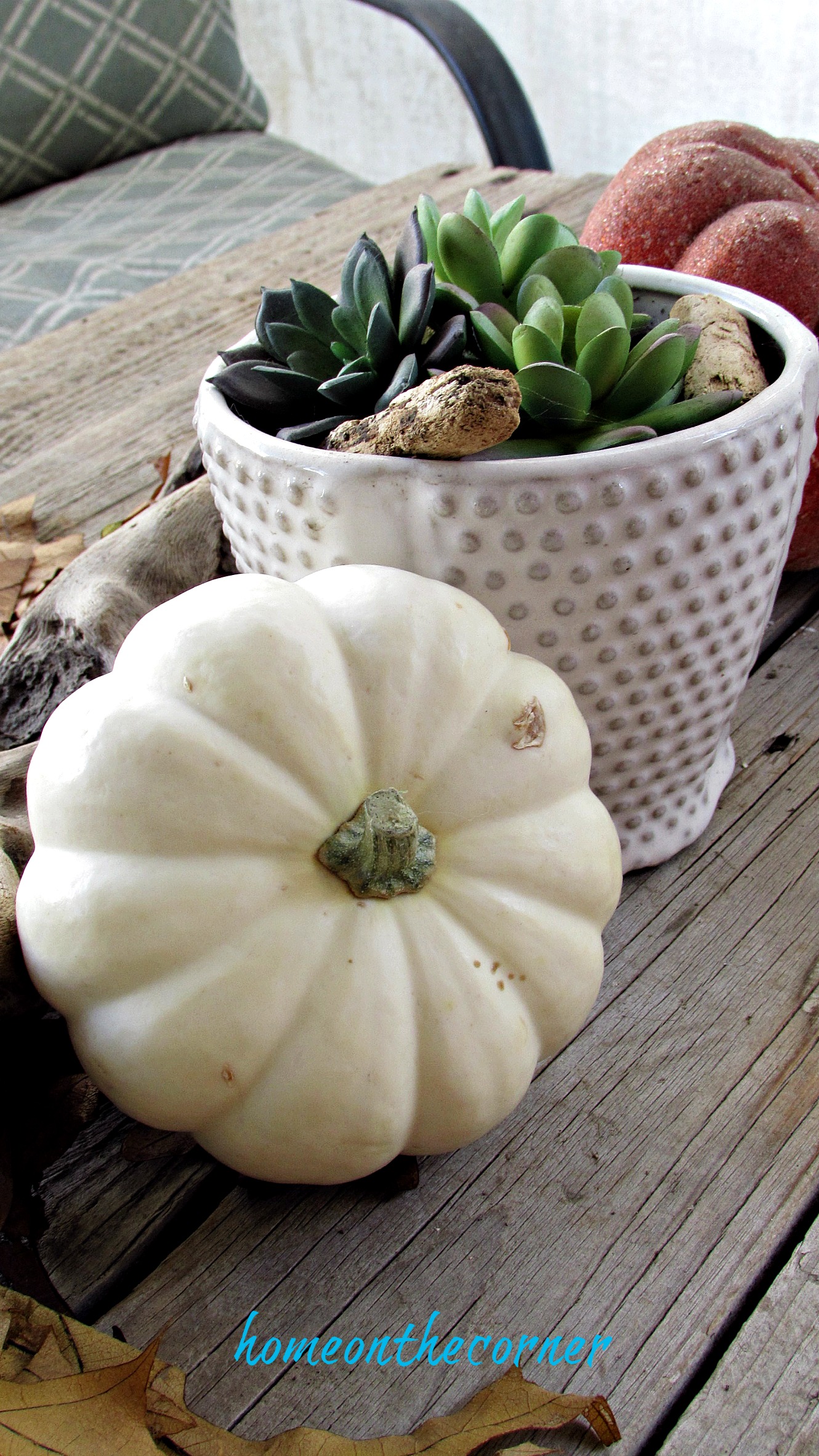 fall 2018 back porch white pumpkin and succulents